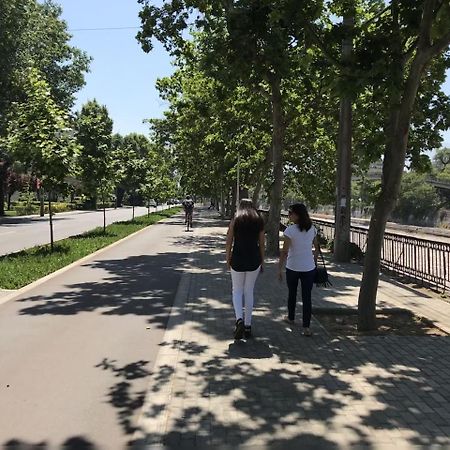산티아고 Departamento De Lujo 1 En Barrio Bellavista 아파트 외부 사진